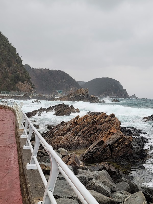 헌화로 해안도로 5