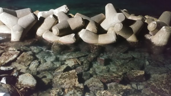 헌화로 해안도로 3