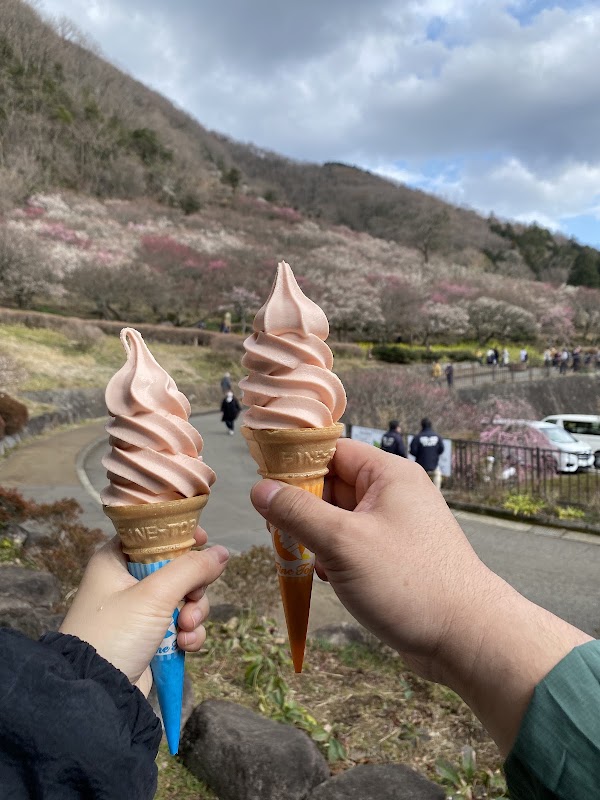 Yugawara Plum Grove 2