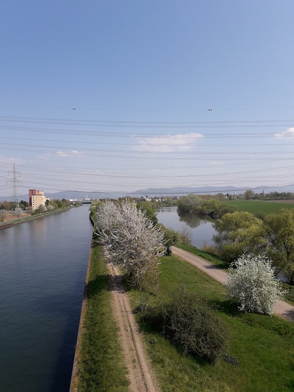 Ilvesheim