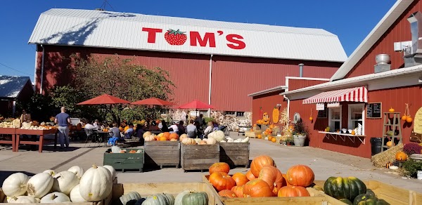 Tom's Farm Market 1