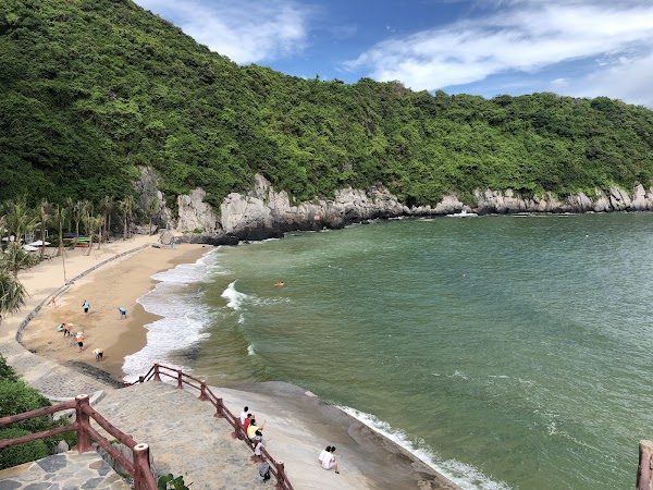 Cat Co 1 Beach