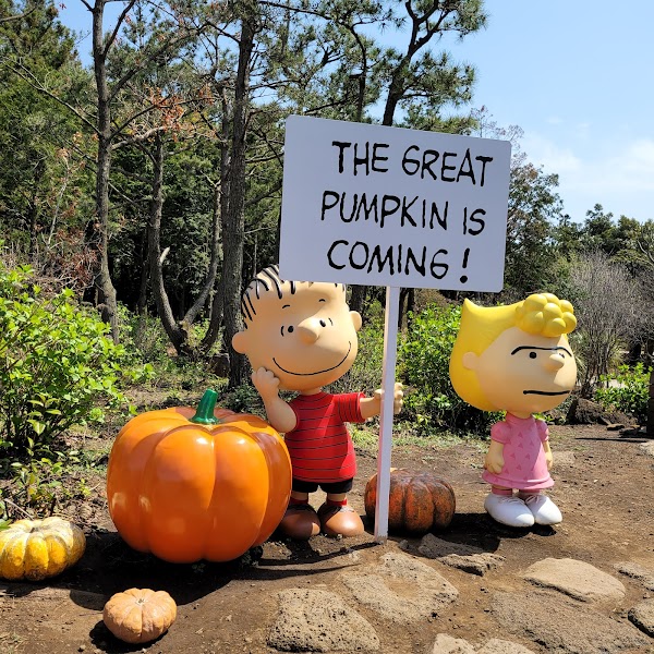 Snoopy Garden 5