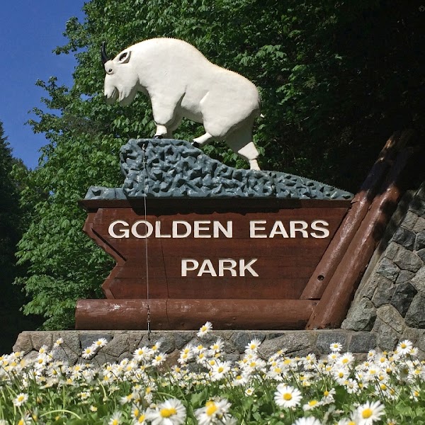 Lower Mainland Hikes 4