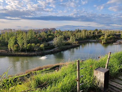 Cabecera Park
