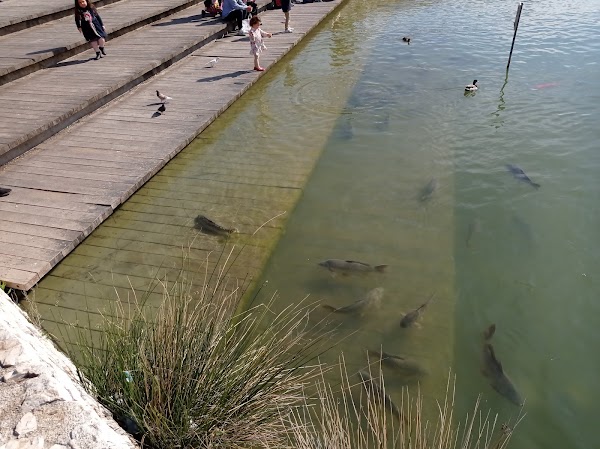 Cabecera Park 4