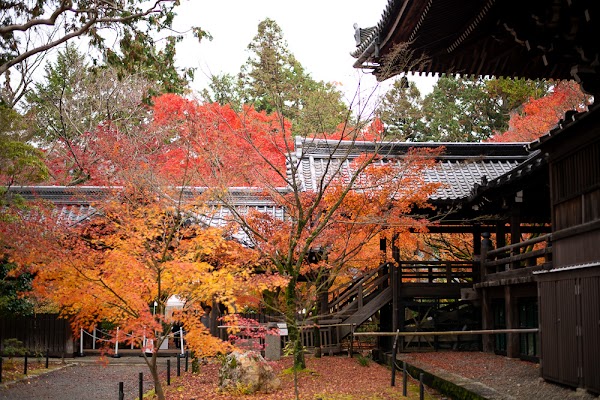 Shinshō Gokurakuji (Shinnyodō) Temple 1