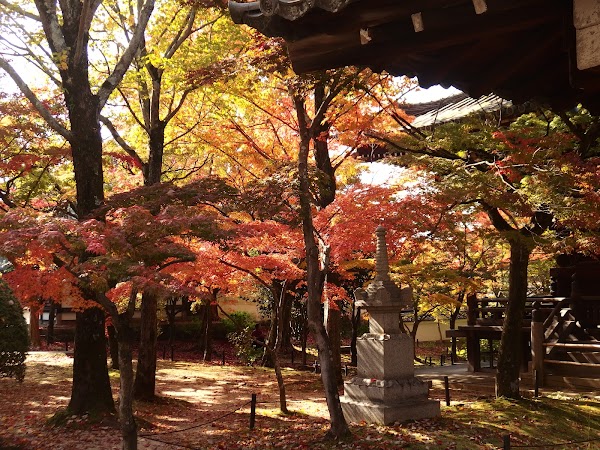 Shinshō Gokurakuji (Shinnyodō) Temple 3