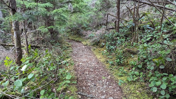 Myra Falls 2