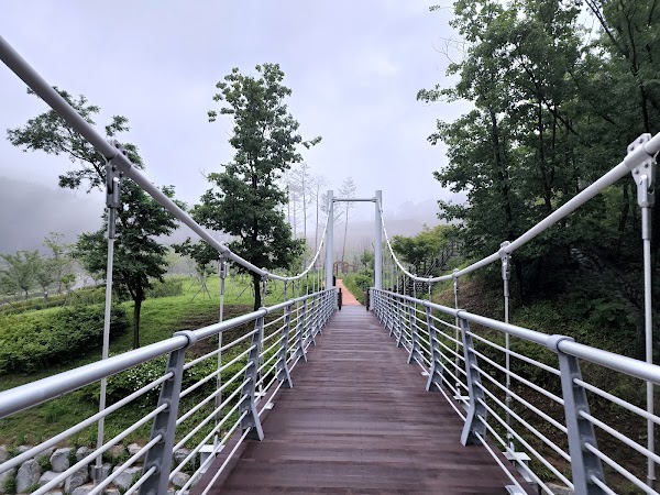 보현산자연휴양림 3