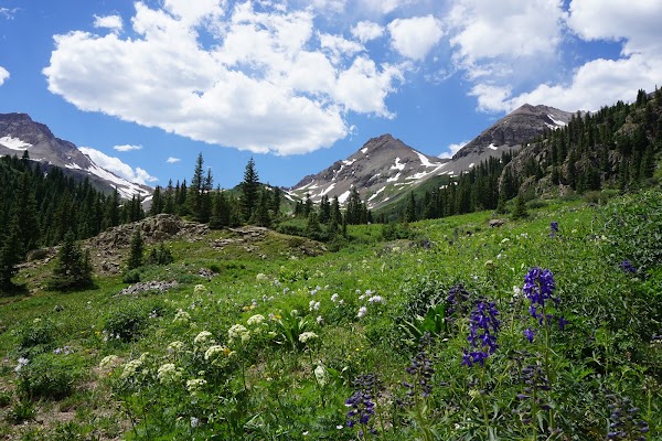 Yankee Boy Basin
