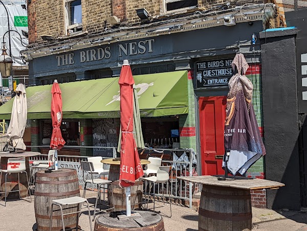 The Birds Nest 3
