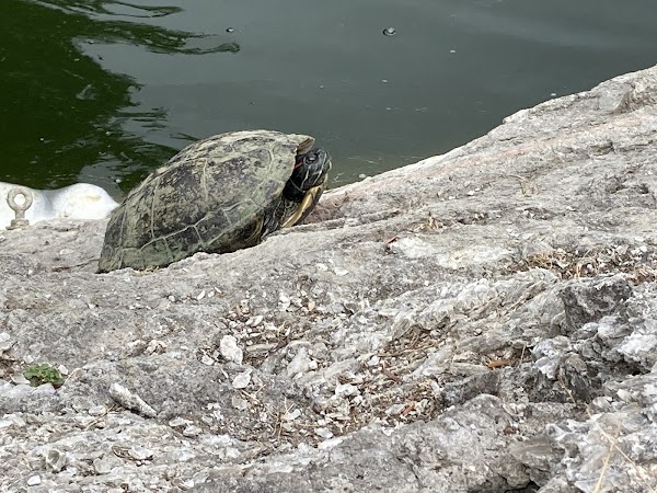 Giardini Margherita 2