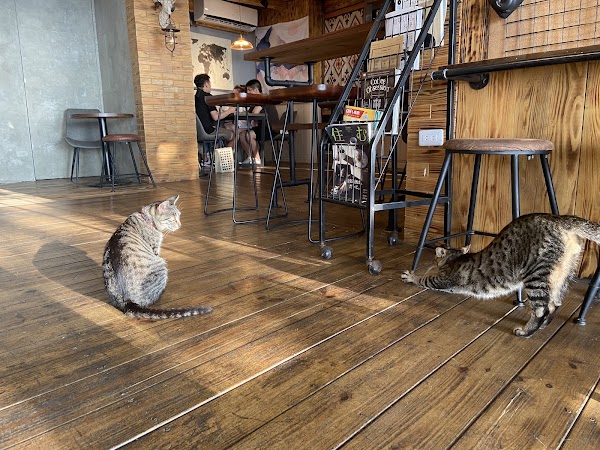 Youshi Twilight Cafe