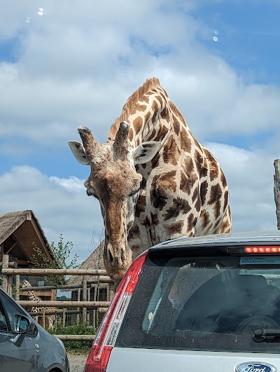 West Midland Safari Park