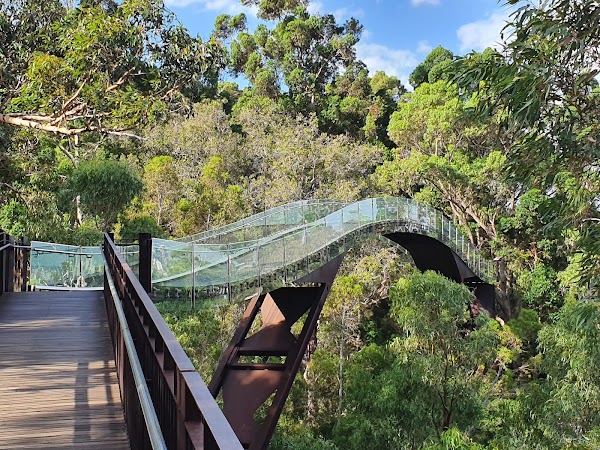 Kings Park and Botanic Garden 4