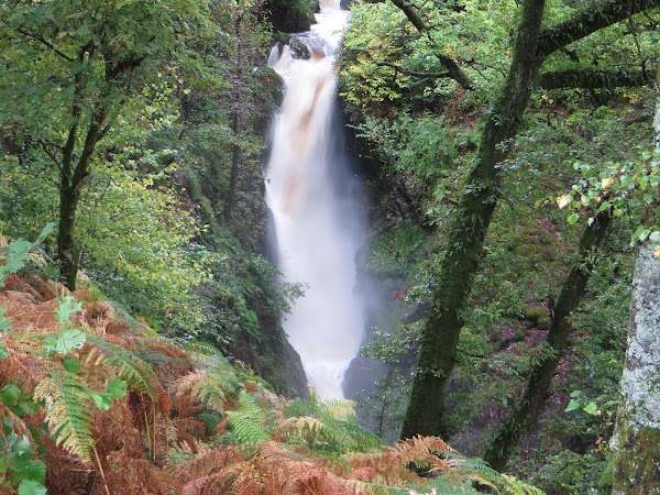National Trust - Aira Force and Gowbarrow Park
