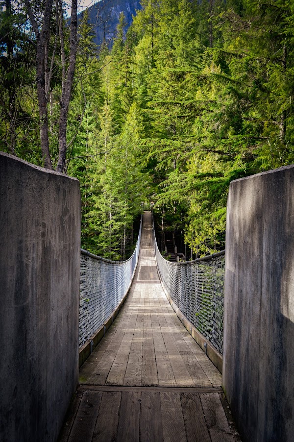 Crazy Creek Waterfall & Suspension Bridge 4