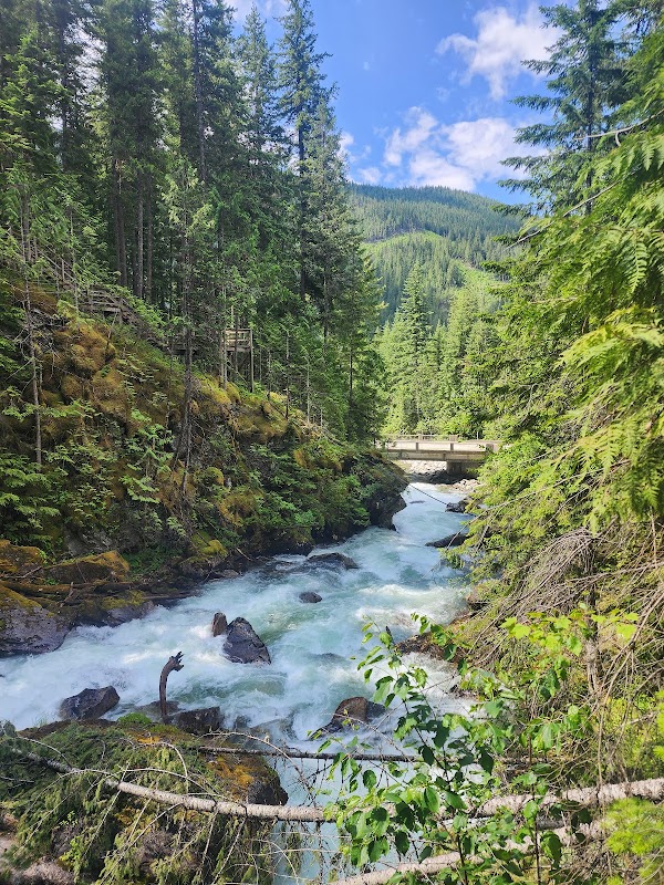 Crazy Creek Waterfall & Suspension Bridge 2