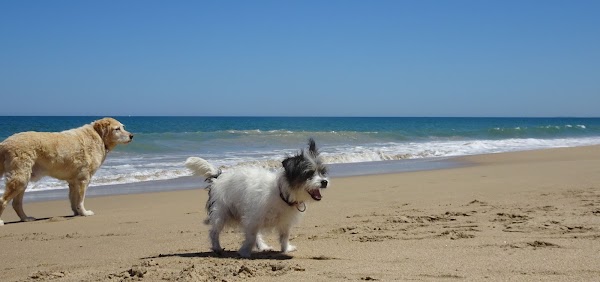 Mandurah 4