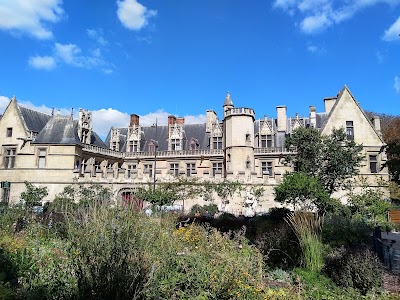 Parisian Majesty: An Architectural Promenade Through the Latin Quarter 2