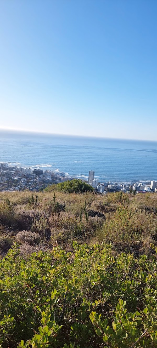 Signal Hill 4