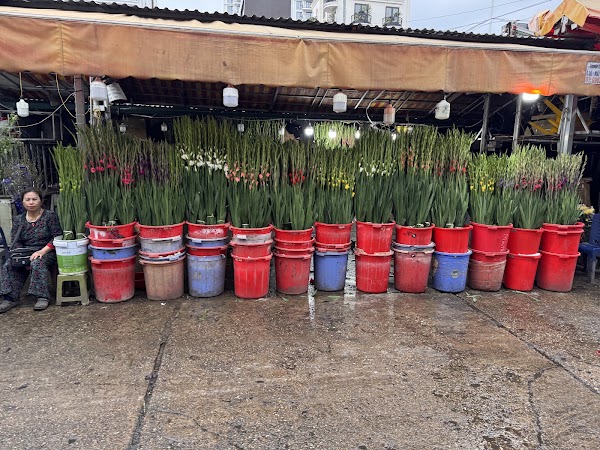 Quảng Bá Flower Market