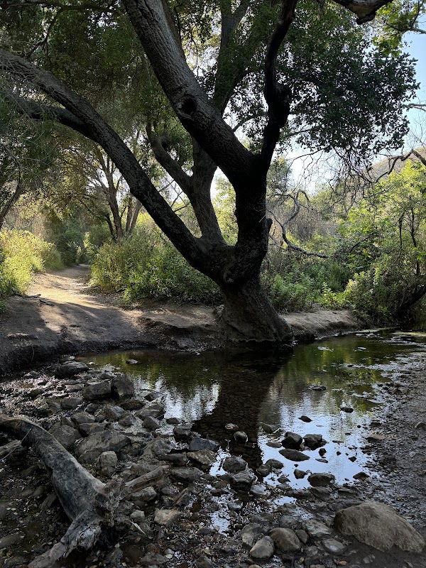 Escondido Falls 3