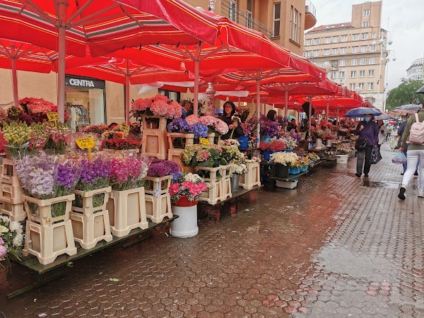 Dolac Market 5