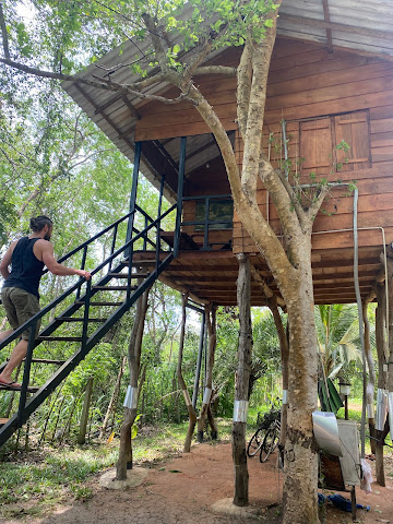 Tree House hostel sigiriya