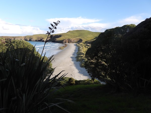 Otago Peninsula 1
