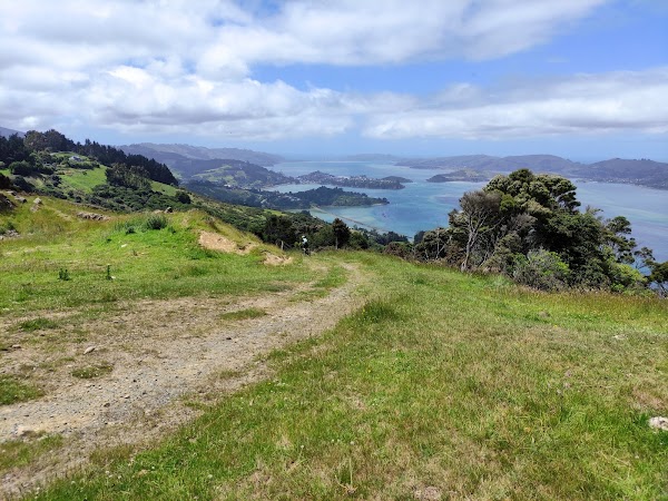 Otago Peninsula 4