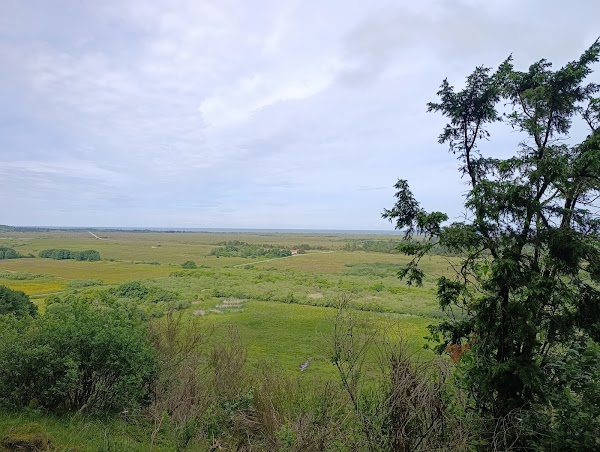 Fosdal Plantage