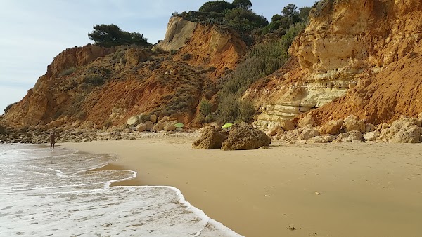 Praia do Canavial 2