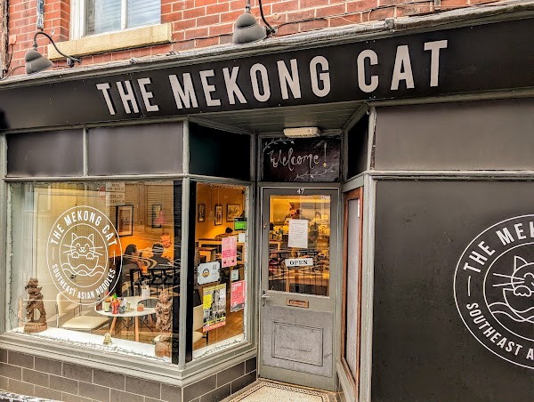 The Mekong Cat