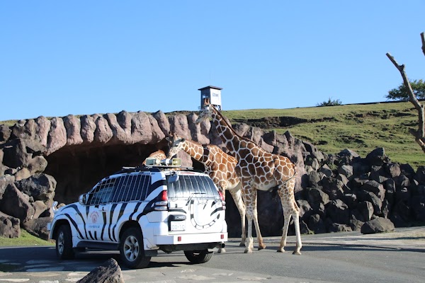 Kyushu Wildlife Park African Safari 2