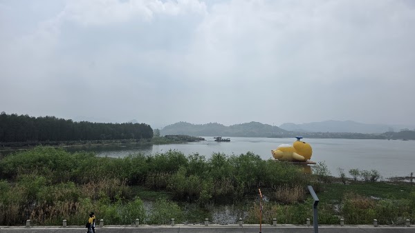 Qingshan Reservoir 2