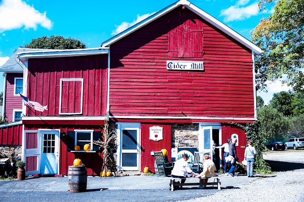 Hacklebarney Farm Cider Mill 4