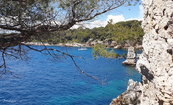 Bay of Antibes Billionaires 4