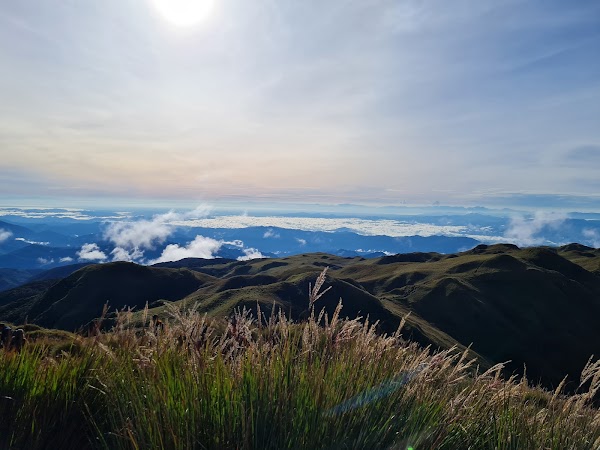 Mount Pulag 5