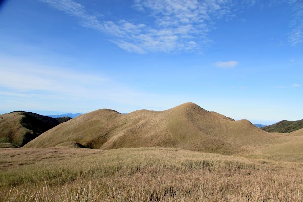Mount Pulag 4