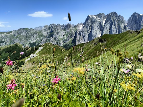 Valušnica