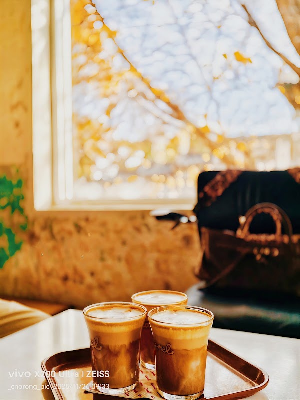 Camel Coffee 5