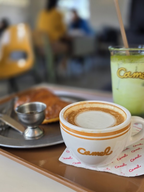 Camel Coffee 2