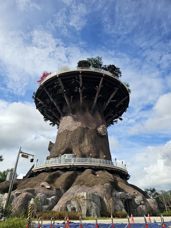 Daesang Park Big Tree