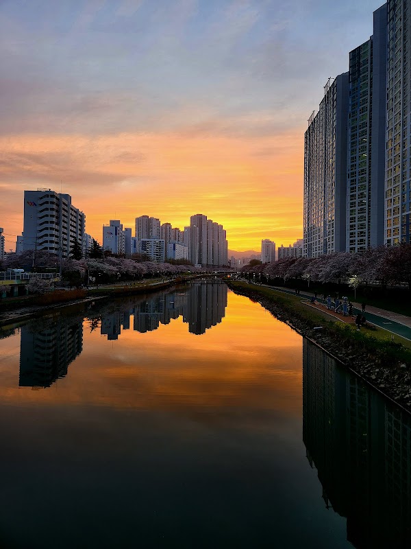 Oncheoncheon Stream 5