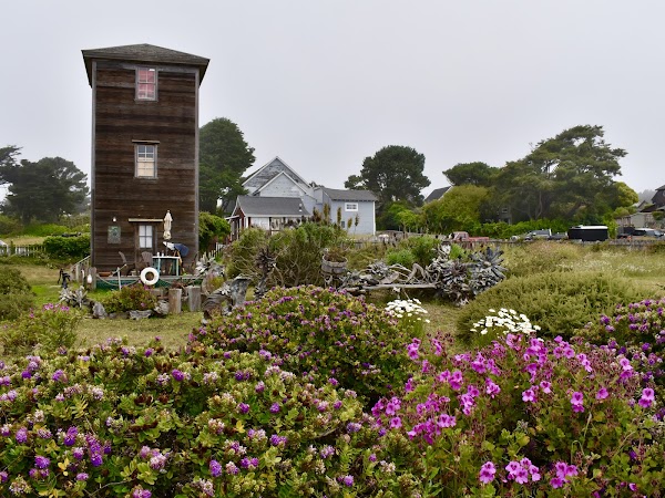Mendocino 5
