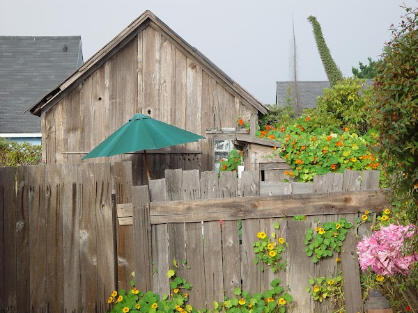 Mendocino 4