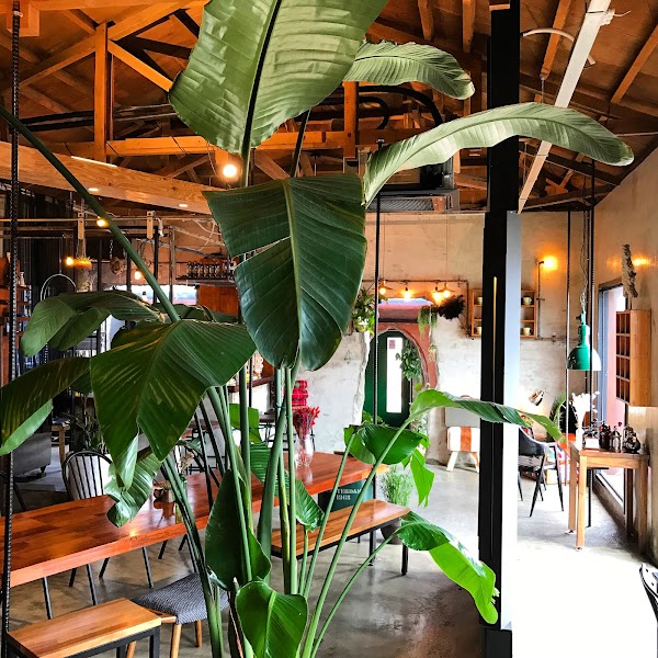 The Green Cafe