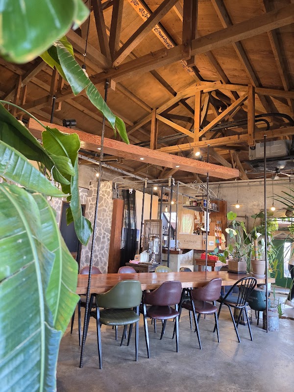 The Green Cafe 2